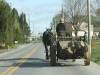 Amish on the Road