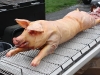 Stuffed Pig Ready to Cook