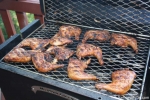 Grilled Chicken on BBQ26S Chicken Cooker