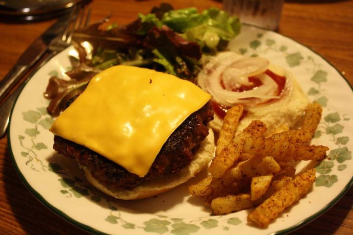 Grilled Burger Sandwich and Fries