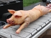 Stuffed Pig Ready to Cook