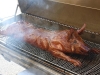 Whole Hog on a Meadow Creek Pig Roaster